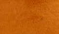 pumpkinpie
